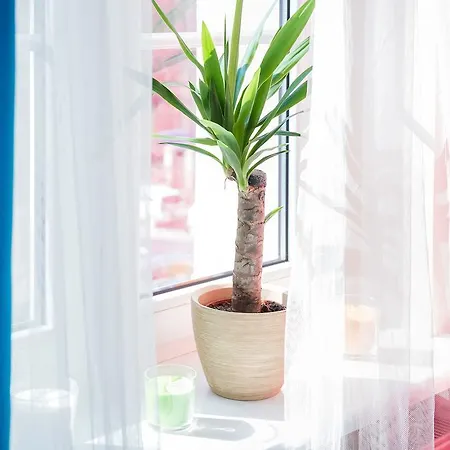 Hieronim - By The Vistula River Appartamento Cracovia